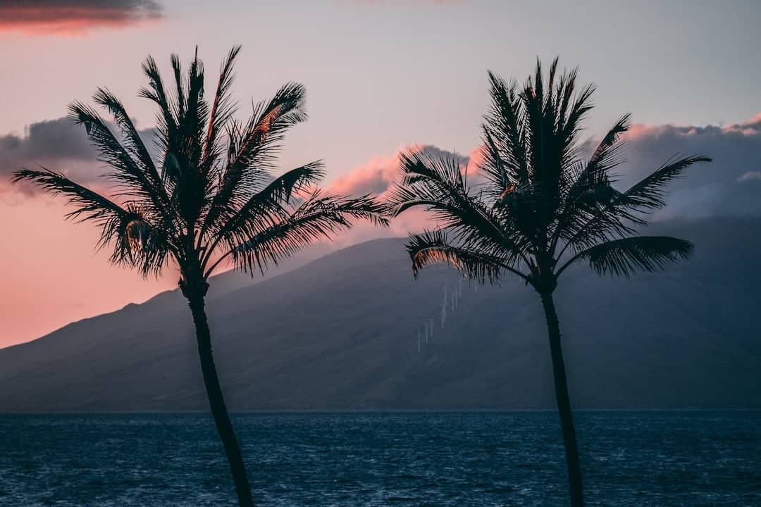 photo-1568687691990-e439bc8938e9